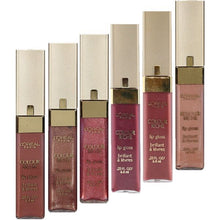 Load image into Gallery viewer, L'oreal Colour Riche Lip Gloss
